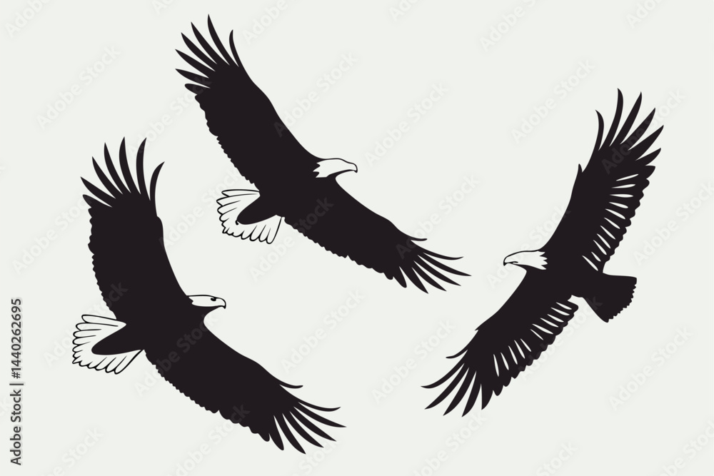 Obraz premium Three flying american bald eagles silhouette in flight graceful majestic vector design