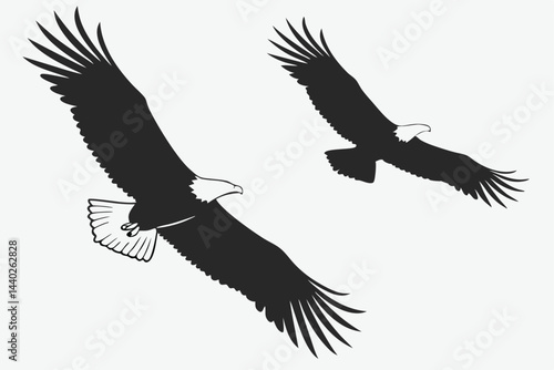 Two bald eagles silhouettes flying gracefully across a clean white background