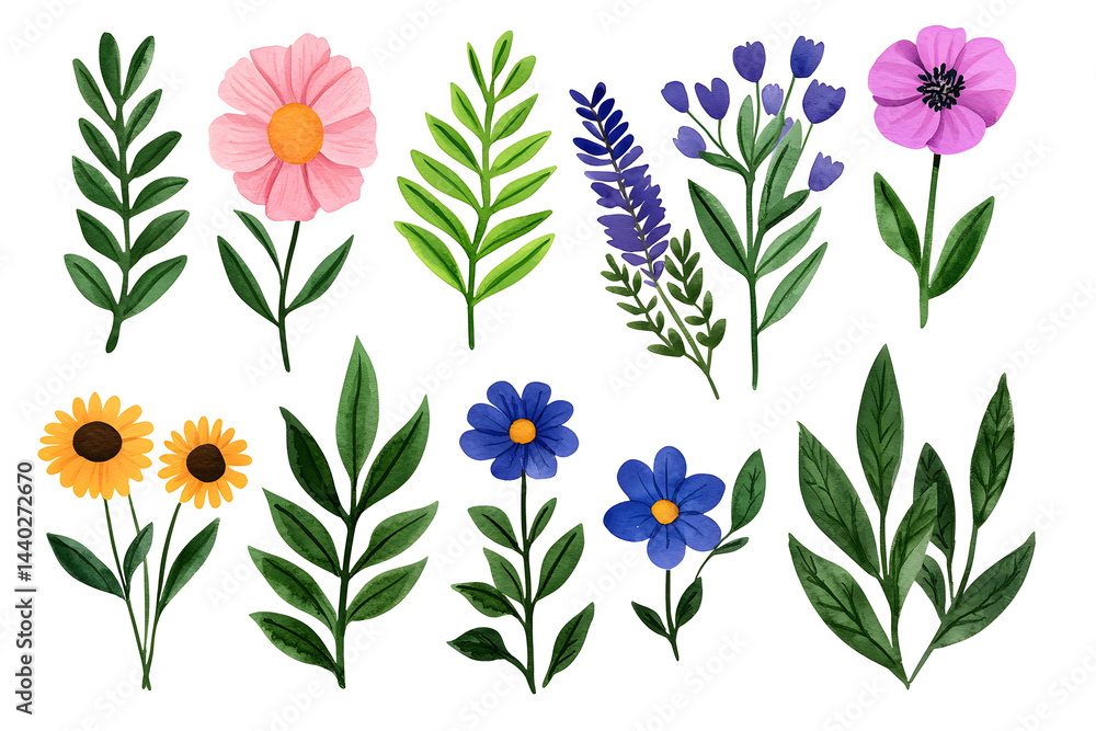Watercolor wildflowers and leaves illustration set isolated on white Watercolor wildflowers and leaves illustration set isolated on white