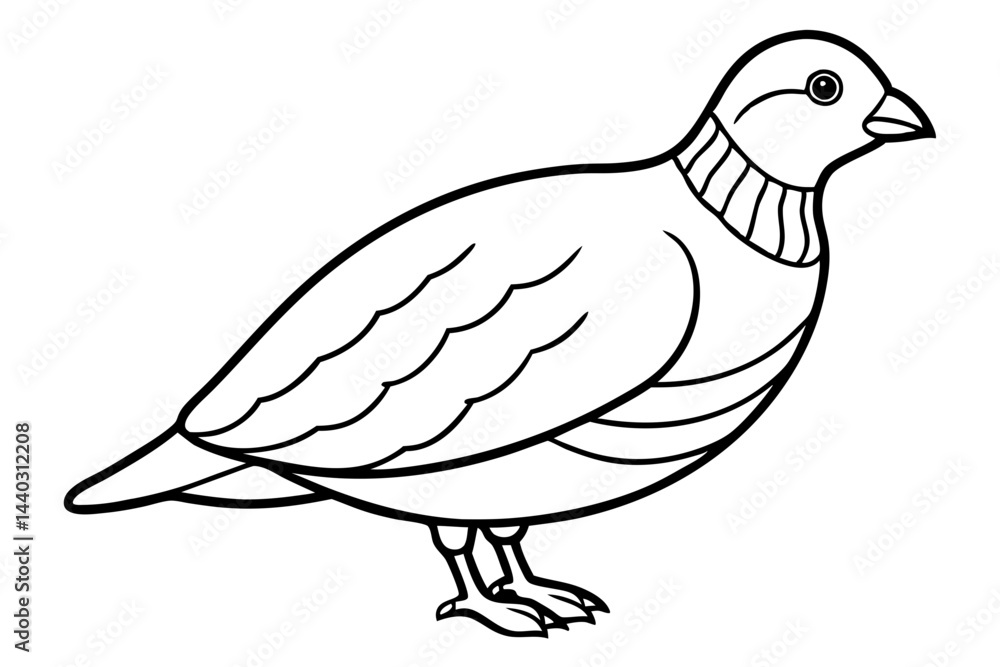 Fototapeta premium Minimalist Quail Vector
