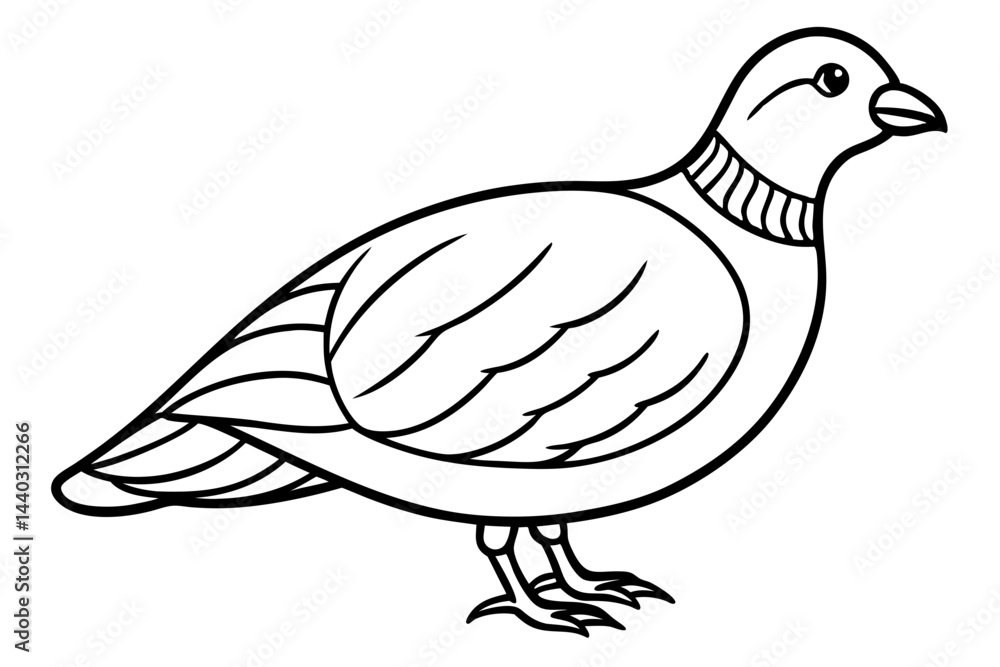 Fototapeta premium Minimalist Quail Vector