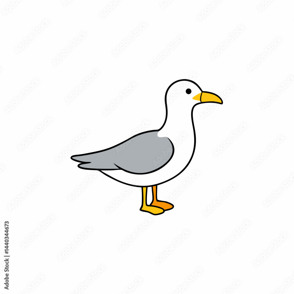 Obraz premium seagull isolated on white
