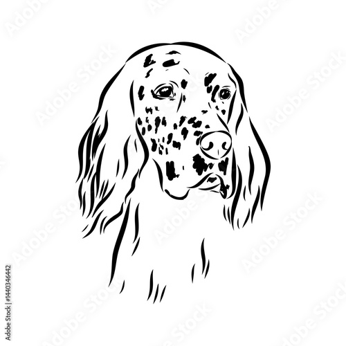 Decorative portrait of standing in profile English Setter, vector isolated illustration