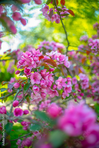Wallpaper Mural pink flowers in the garden Torontodigital.ca
