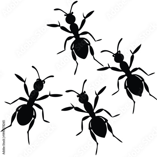 Four Black Ant Silhouettes on White Background