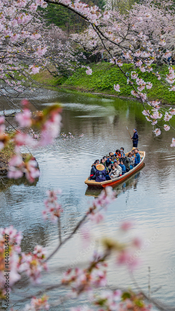 Fototapeta premium 弘前公園 船に乗る観光客と桜 旅行