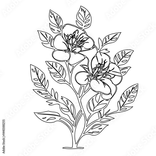 Delicate floral outline drawing portraying botanical elegance and simplicity