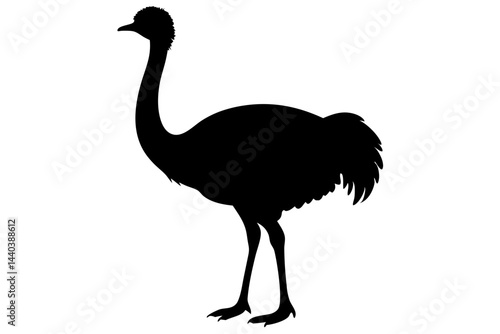 Isolated silhouette of an ostrich standing calmly on a white background image, ostrich, bird, silhouette, animal, wildlife, black, standing, isolated, white background, fauna, nature, graphic, design