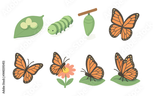 Butterfly life cycle icons set – egg, caterpillar, chrysalis, butterfly, flower