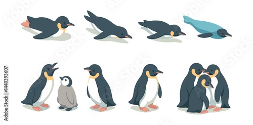 Penguin behavior icons set – sliding, swimming, chick, talking, socializing, group