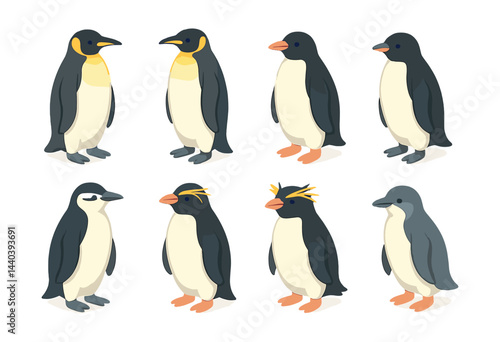Penguin icons set – emperor, king, rockhopper, little blue, adélie, macaroni, gentoo, chinstrap