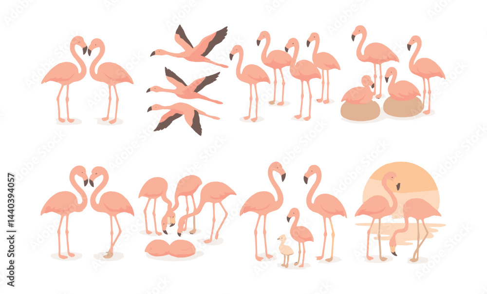 Flamingo behavior icons set – standing, flying, feeding, resting, group, family, water Flamingo behavior icons set – standing, flying, feeding, resting, group, family, water