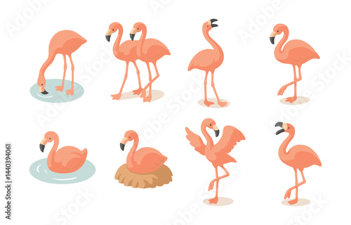 Flamingo icons set – standing, walking, swimming, preening, flock, nesting, wading, elegant poses
