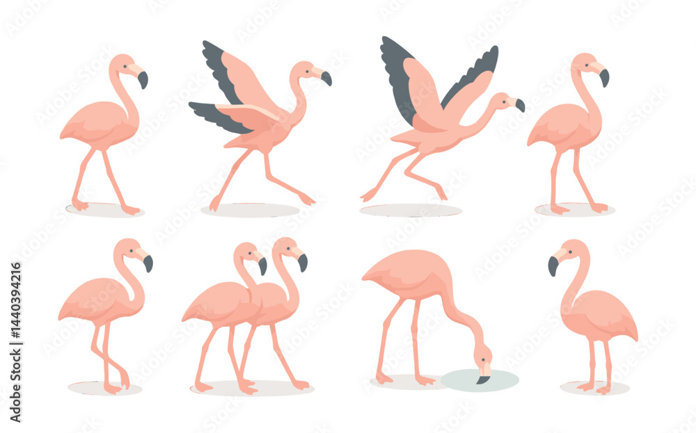Obraz premium Flamingo icon set – walking, flying, standing, feeding, pink birds, elegant poses