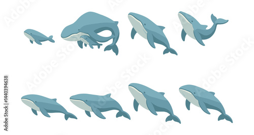 Whale icons set – blue, humpback, pod, calf, swimming, marine life, ocean