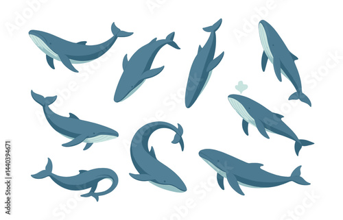 Whale icons set – blue, ocean, marine, wildlife, aquatic, sea, animal, illustration, cartoon, graphic