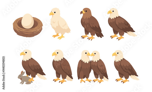 Eagle life cycle and behavior icons set – nest, egg, hatchling, rabbit, bald eagle, pair