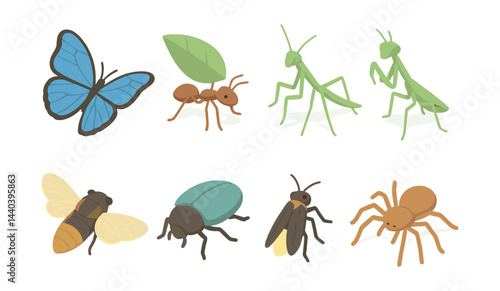 Insect collection icons set - butterfly, ant, praying mantis, bee, beetle, fly, spider