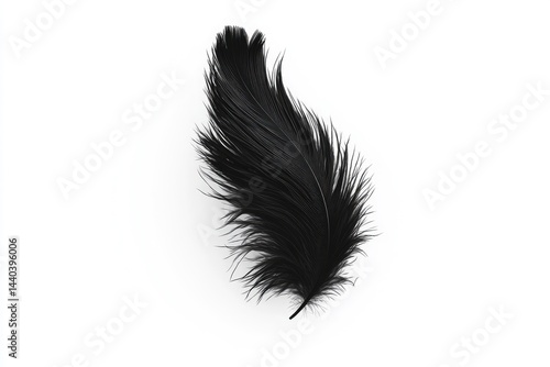 Single, elegant black feather isolated on white
