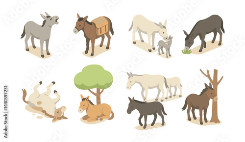 Farm animal icons set – donkeys in various poses and activities