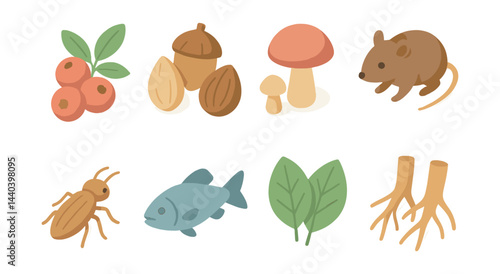 Forest ecosystem icons set – berries, nuts, mushrooms, mouse, insect, fish, leaves, roots