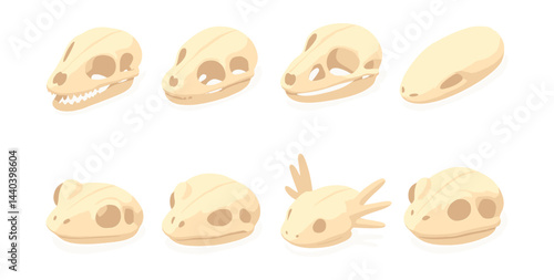 Animal skulls icons set – reptile, rodent, mammal, anatomy, fossil, bone, evolution, zoology, skeleton, paleontology