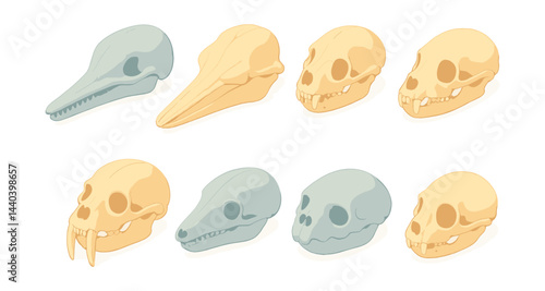 Animal skull icons set – reptile, bird, primate, saber-tooth, gorilla, skull variations