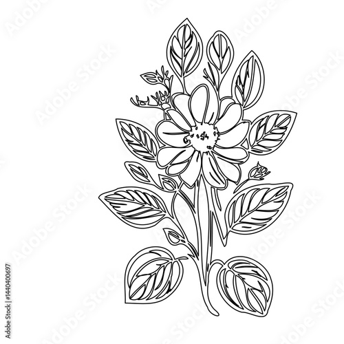 Detailed botanical illustration featuring a daisy-like flower with surrounding foliage