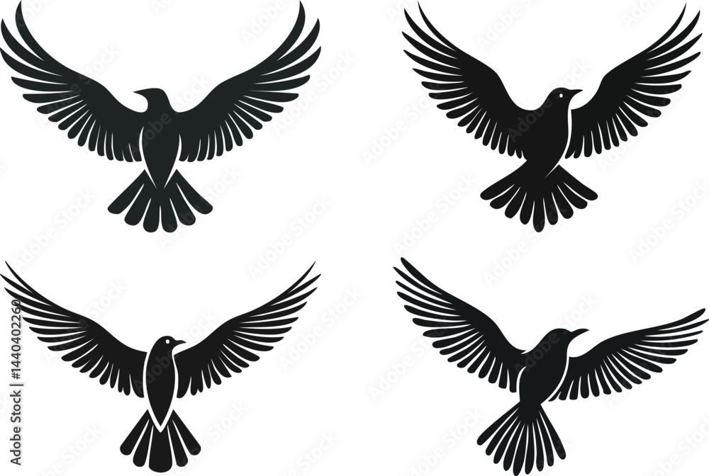 Obraz premium Set of flying birds wings vector