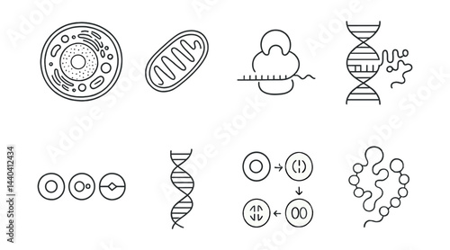 Biology cell structures icons set – cell, mitochondria, dna, ribosome, organelle, division