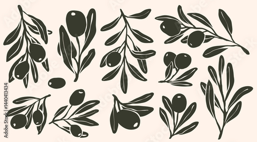Set of monogram olive branch with leaves and olive oil logo or olive tree icon, hand drawn olive border botanical medicine herbs in vector format, floral olive frame