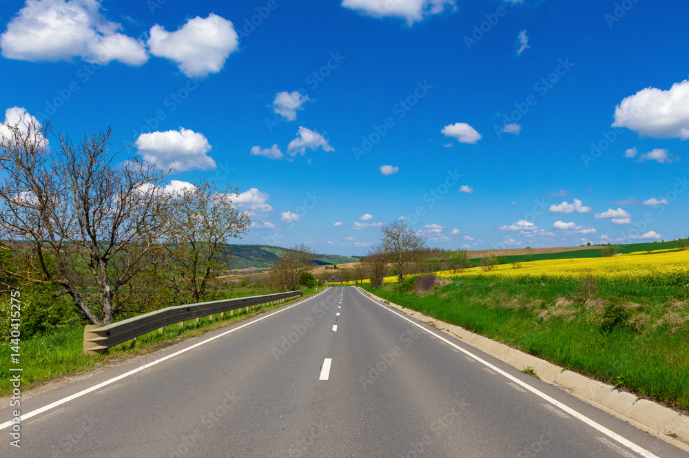 Landscape of a road in the countryside in Eastern Europe