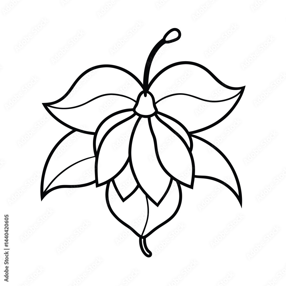 Simple Line Drawing of a Flower Simple Line Drawing of a Flower