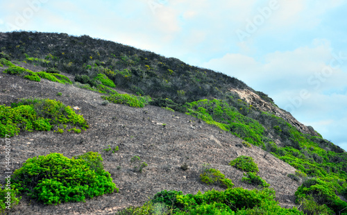  view carrapateira aljezur algarve portugal