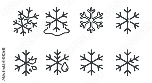Winter snowflake icons set – crystal, flake, frozen, melt, elegant, weather, cool, icy, freeze, water