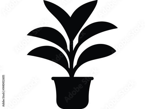 Rubber tree plant in a potted silhouette, Potted plant with rubber plant silhouette potted black vector