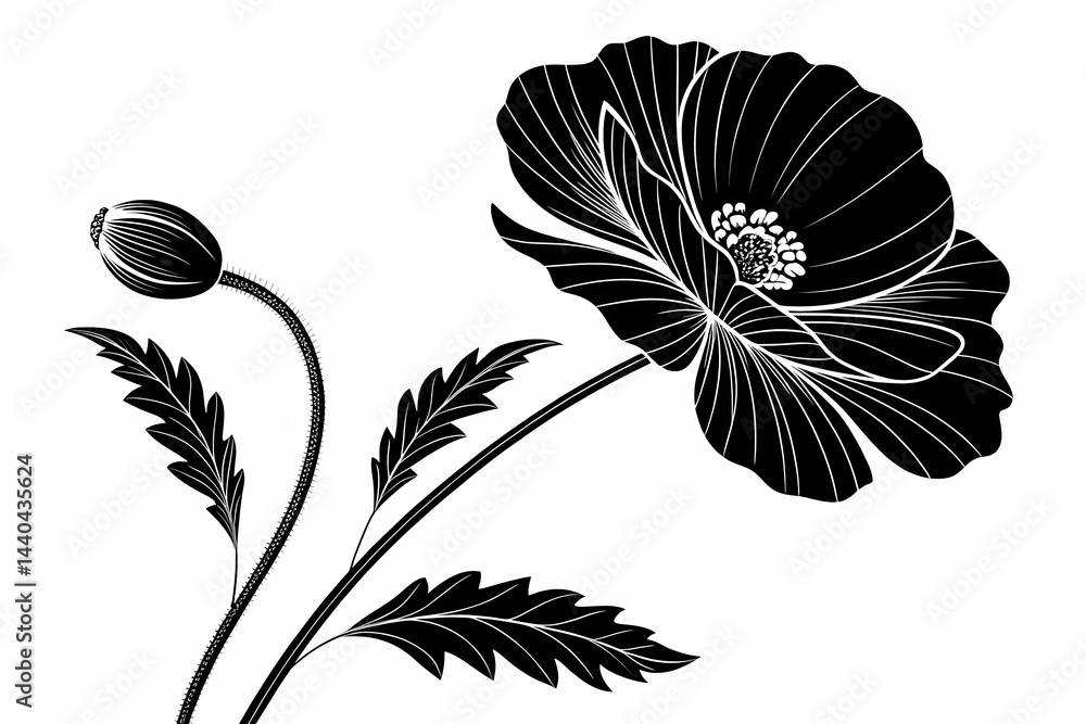 Fototapeta premium Elegant Black and White Poppy Flower Illustration A Stunning Floral Design Featuring a Blooming Poppy and Bud, Perfect for Artistic Projects, Invitations, and More