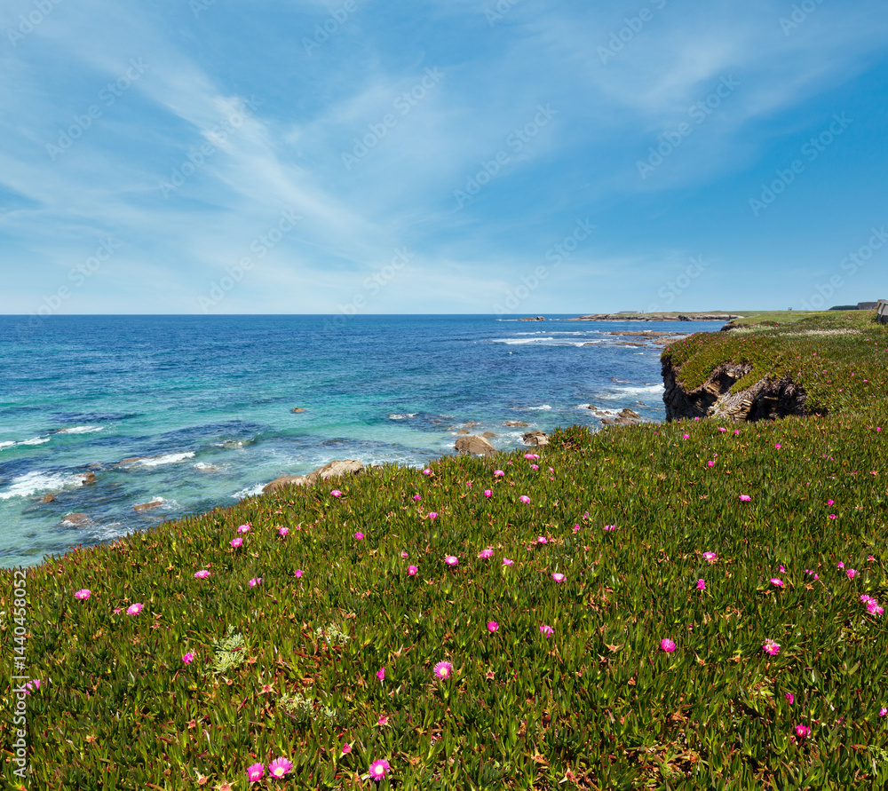 Atlantic blossoming coastline (Spain).