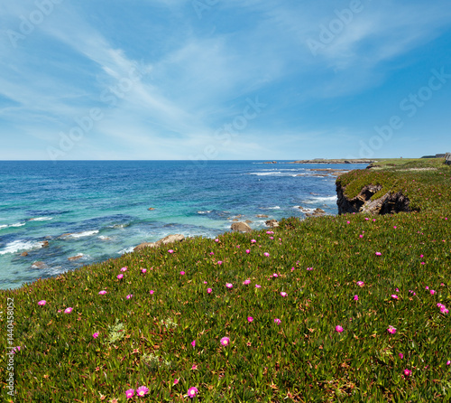 Obraz na płótnie Atlantic blossoming coastline (Spain). w salonie