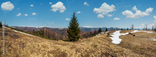 Obraz na płótnie Early spring Carpathian mountains w salonie