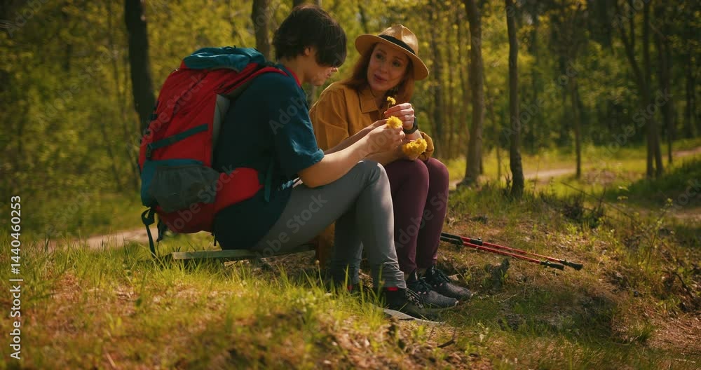 Mother and Daughter Hiking Family in Nature Make Dandelion Wreath on Outdoor Adventure on Holiday Vacation. Survival, Explore Trail or Team of Travellers in Woods with People for Trekking Diversity Mother and Daughter Hiking Family in Nature Make Dandelion Wreath on Outdoor Adventure on Holiday Vacation. Survival, Explore Trail or Team of Travellers in Woods with People for Trekking Diversity