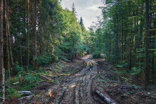 Washed out dirt road, destruction of Carpathian forests by barbaric logging and soil destruction photo