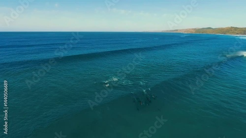Wallpaper Mural The movement of dolphins in groups and families on the water and under the sea is wonderful.Underwater filming Torontodigital.ca