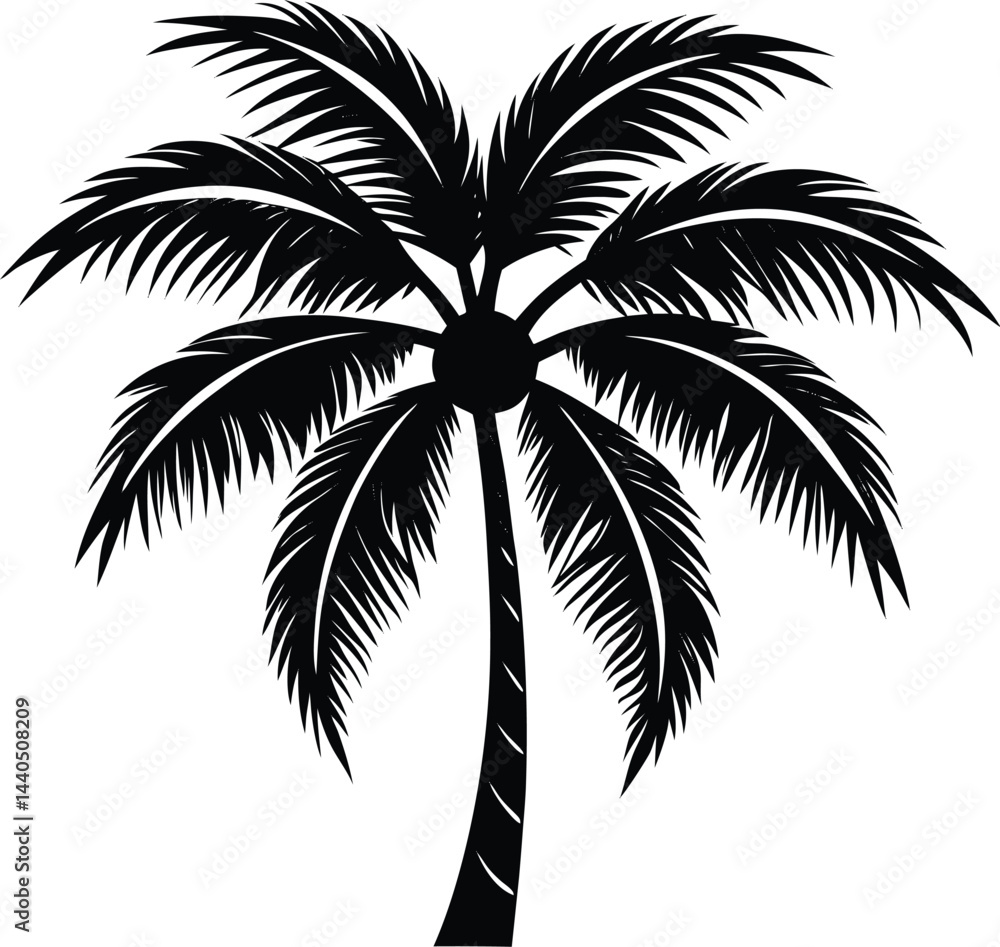 Obraz premium A coconut tree silhouette white background