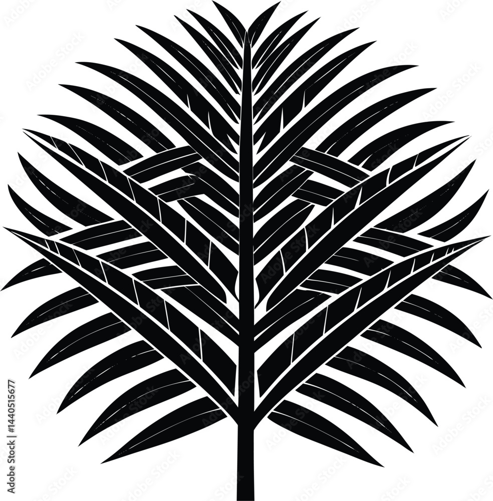 Fototapeta premium A palm frond weave pattern silhouette white background