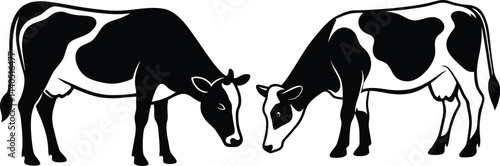 Black and white illustration of two cows facing each other, grazing cattle in vintage woodcut style, high contrast rural agricultural artwork with symmetric composition and simple graphic lines.
