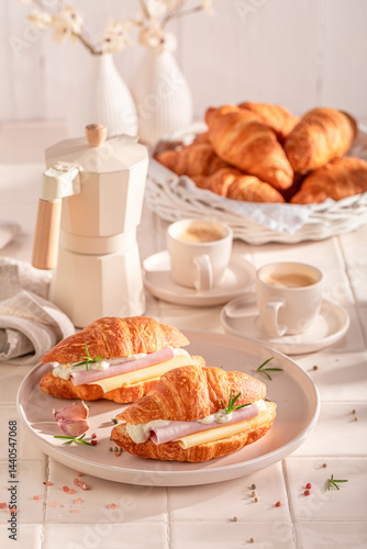 Obraz na płótnie Tasty and healthy french croissant as a breakfast sandwich. w salonie