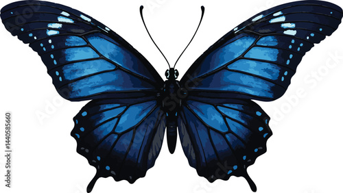 Dark blue butterfly, isolated, nature, graphic design element