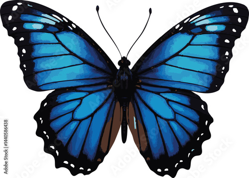 Dark blue butterfly, isolated, nature, graphic design element