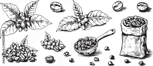 Hand Drawn Coffee Beans Leaves and Bag Illustration